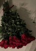 Яна Савченко